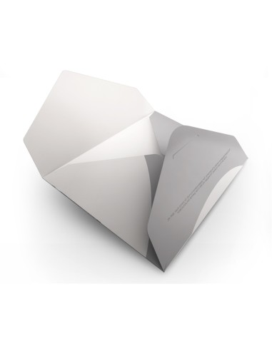 Presentation Envelope with Pointed Flaps Closure