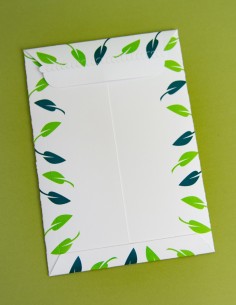 Cardboard Postal envelope 2