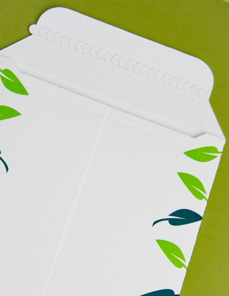 Cardboard Postal envelope