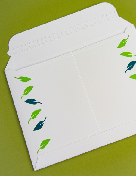 Cardboard Postal envelope