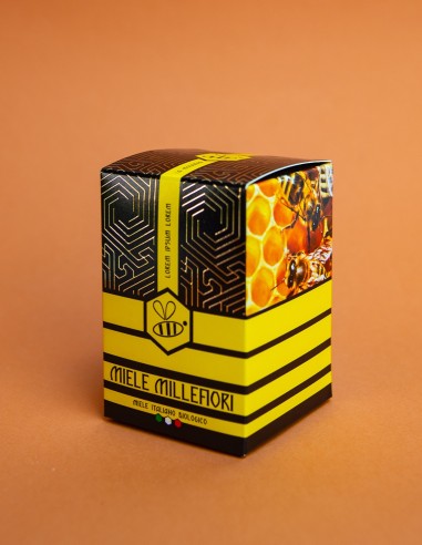Self-Assembly Box