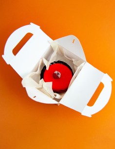 Boîte alimentaire avec pognée 2