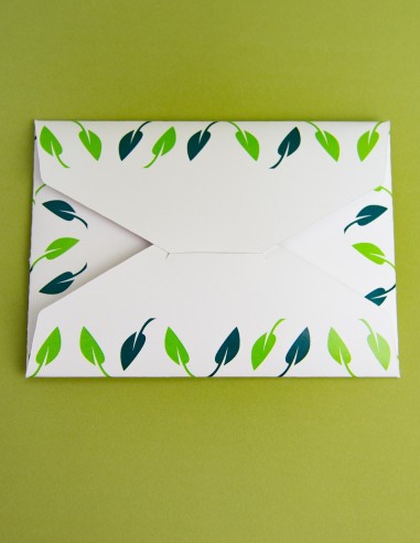 Presentation Envelope with Pointed Flaps Closure