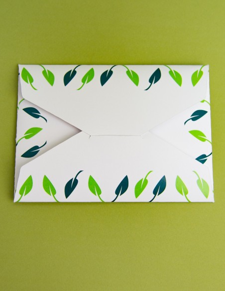Presentation Envelope with Pointed Flaps Closure