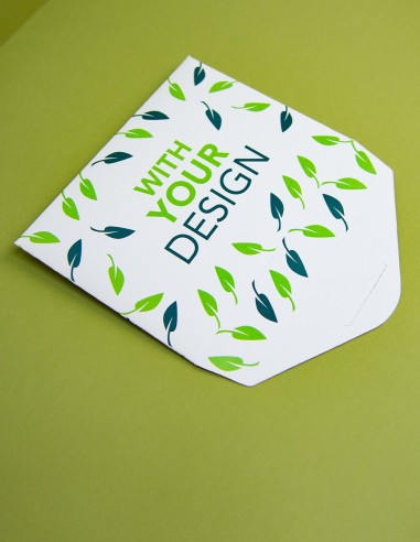 Presentation Envelope with Pointed Flaps Closure