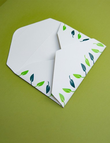 Presentation Envelope with Pointed Flaps Closure