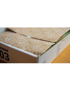 Two-piece box FEFCO 427 Expedition

 2