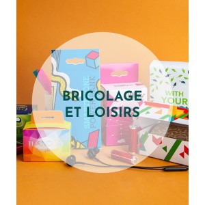 Bricolage / Loisir / Electronique